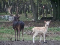 /album/fenykepgaleria/sam-0767-jpg/