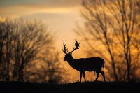 /album/fenykepgaleria/a1486561-288761614611059-1657387799-n-jpg/