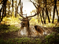 /album/fenykepgaleria/a12088343-543538359133382-6196711698852206595-n-jpg/