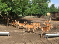 /album/vadfarm/a15599b3f-ca1b-4c83-bfcc-dfc93cf5827e-jpeg/