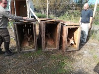 /album/vadfarm/edf33ab9-2f05-430d-9cde-ce943dce3a8f-jpeg/