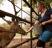 /album/vadfarm/a61e0af8d-cafd-45ec-9c47-48f941149de0-jpeg/