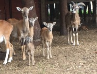 /album/vadfarm/a0d87b112-424c-4278-9848-8e520f070bf0-jpeg/