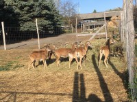 /album/vadfarm/a2da986d5-41f2-4d60-baed-7be38f1d8bfe-jpeg/