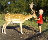 /album/vadfarm/a79936789-93f0-4d10-8c72-20b06e9a44ea-jpeg/