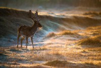 /album/vadfarm/a1ee6ff2-0bd9-4e68-94e3-9690c90cd2a8-jpeg/