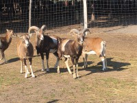 /album/vadfarm/f84004f7-a438-4af7-aeb1-0e8d8f8122f5-jpeg/